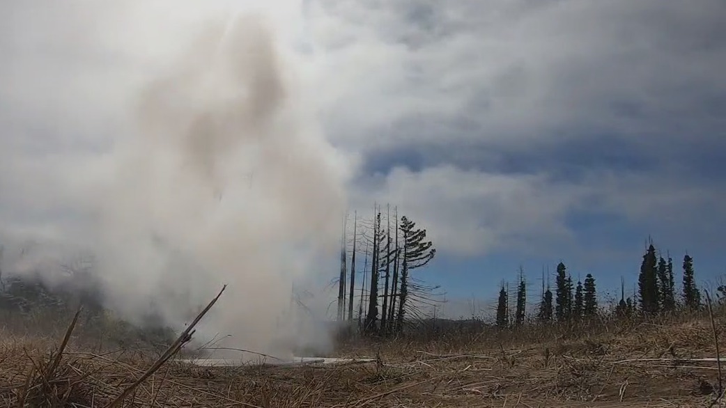 Santa Cruz County startup in semifinals of global wildfire tech competition