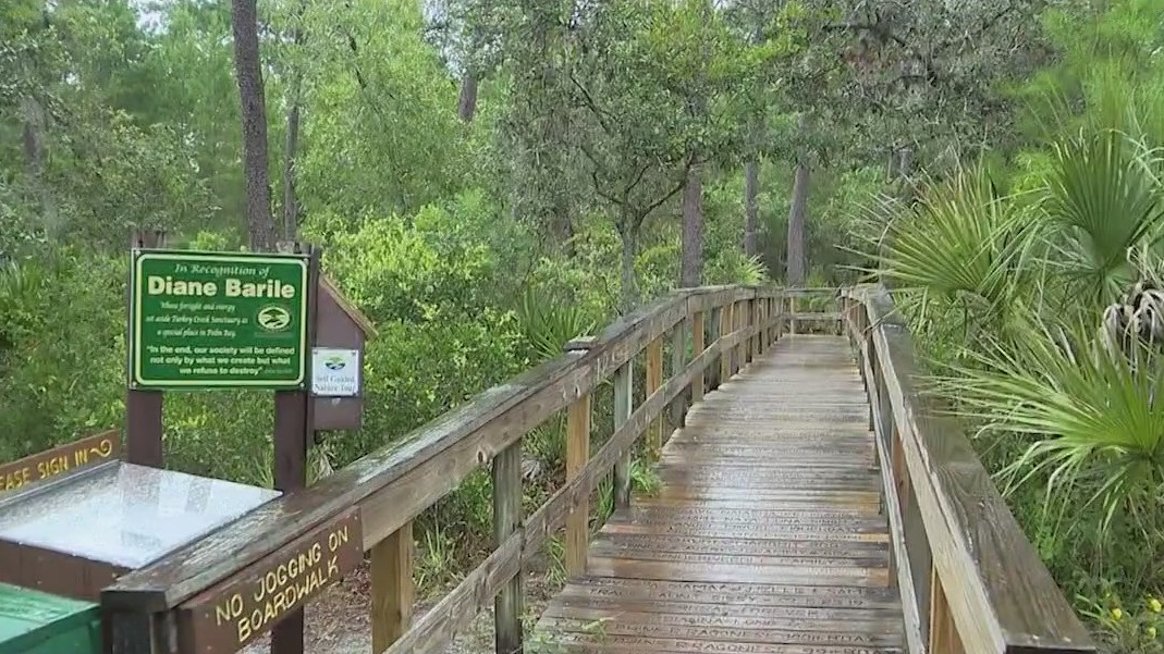 Man charged with filming women, assault at nature sanctuary