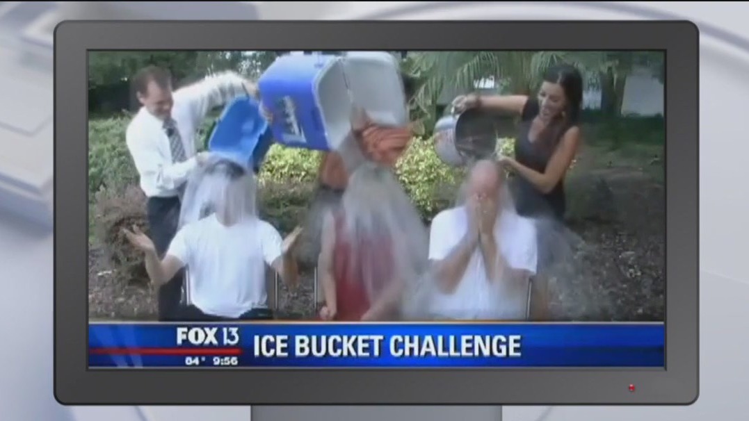 Good Day Goodies | October 17, 2025