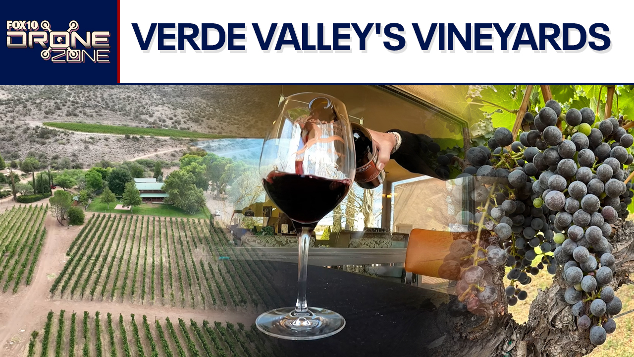 Arizona wine country | Drone Zone