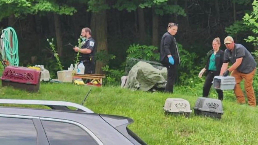 Animal cruelty charges filed against woman