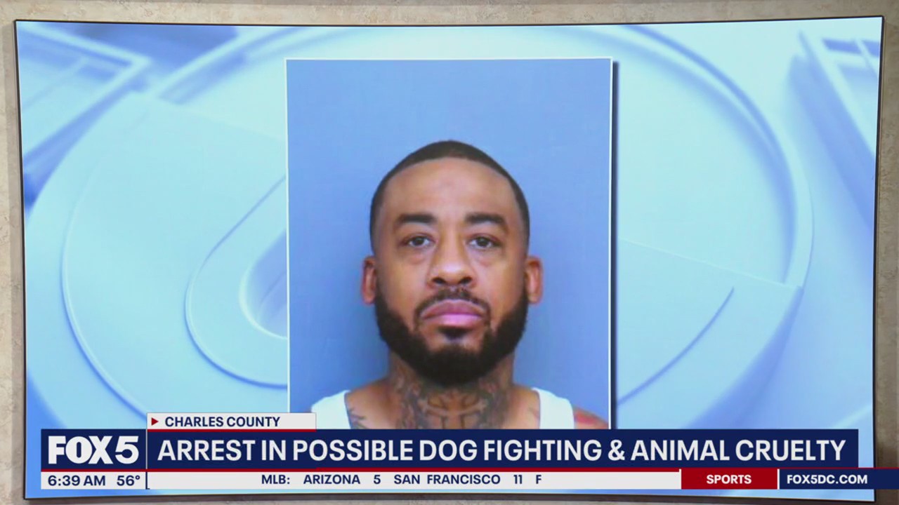 Charles County man charged with animal cruelty, possible dogfighting