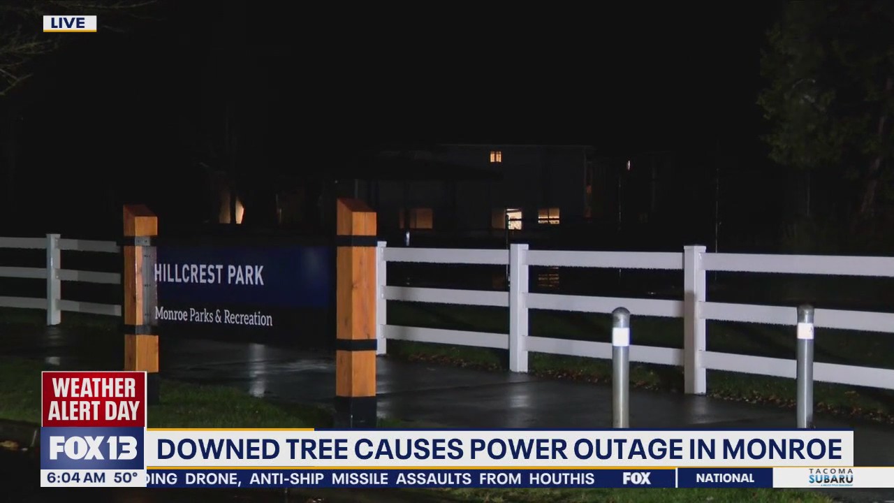 Downed trees causes power outage in Monroe, WA