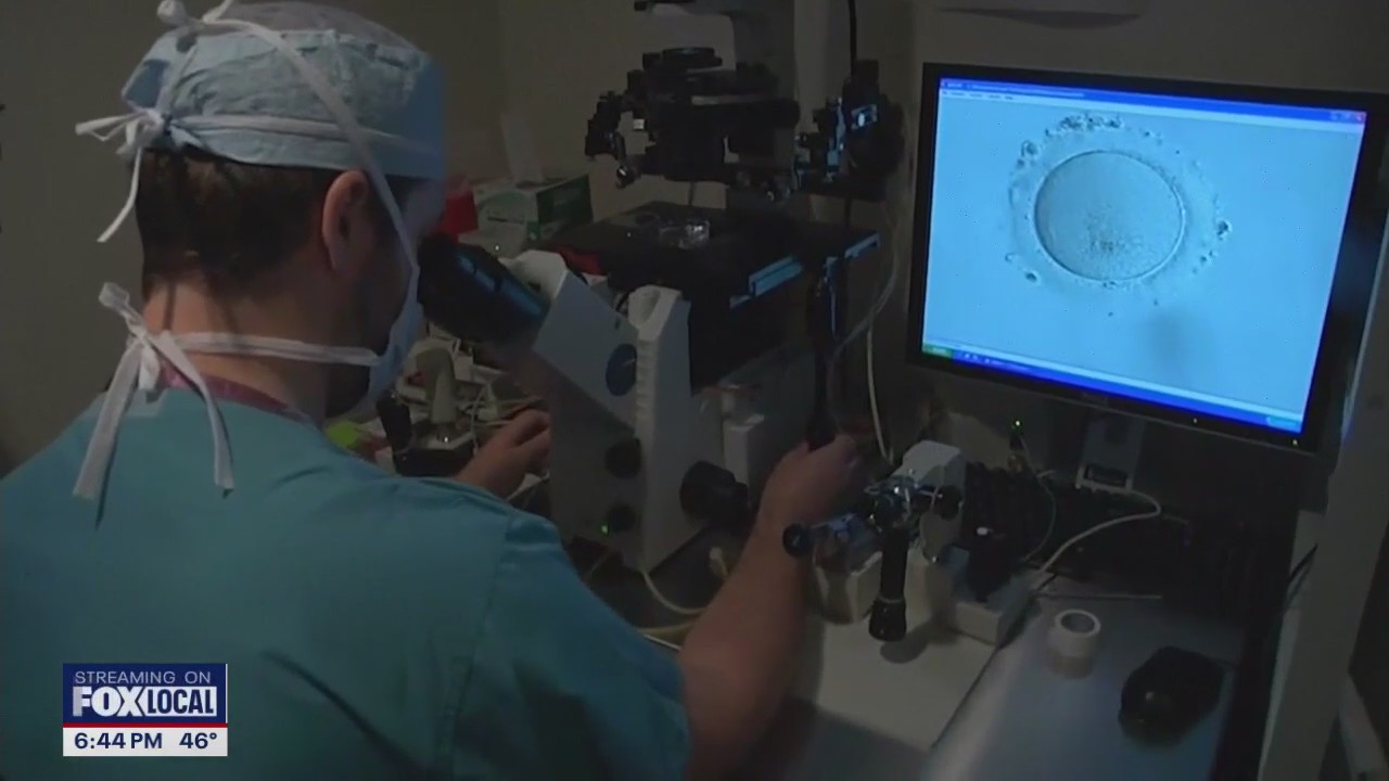 Trump executive order aims to lower IVF costs