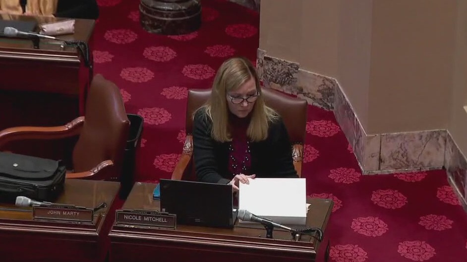 MN Legislature: Special elections to fill open seats