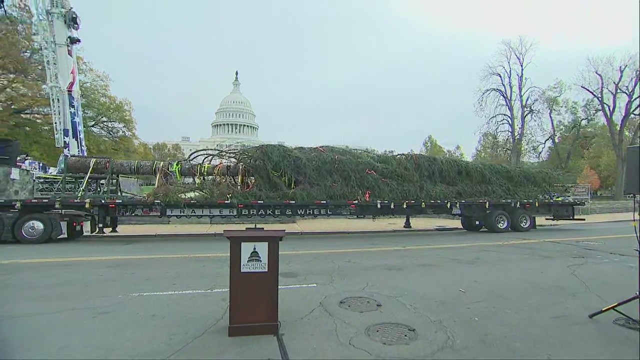 US Capitol Christmas Tree arrives in DC