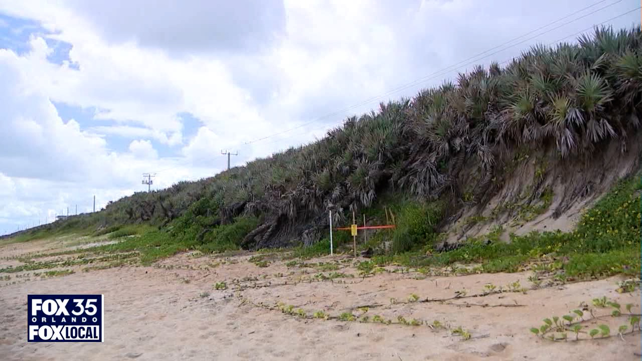 Crews begin work on A1A seawall construction