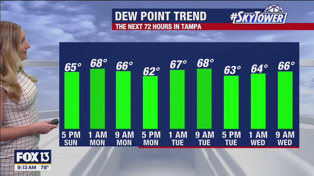 Tampa weather | Possible afternoon showers Sunday