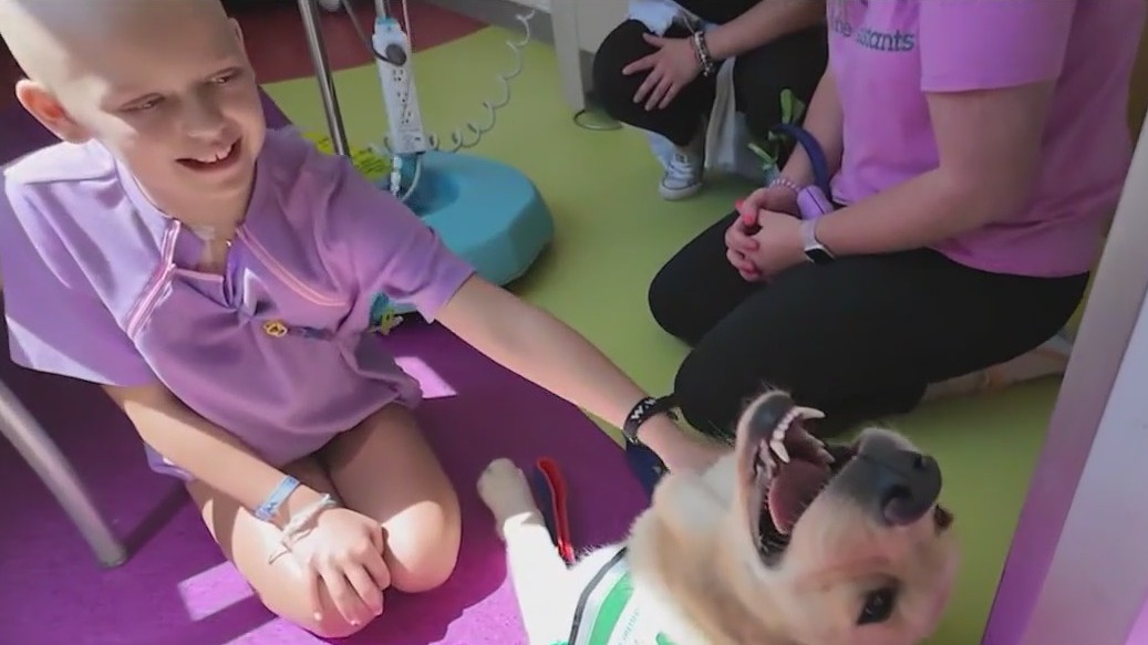 Project Mae: 1 Year Later