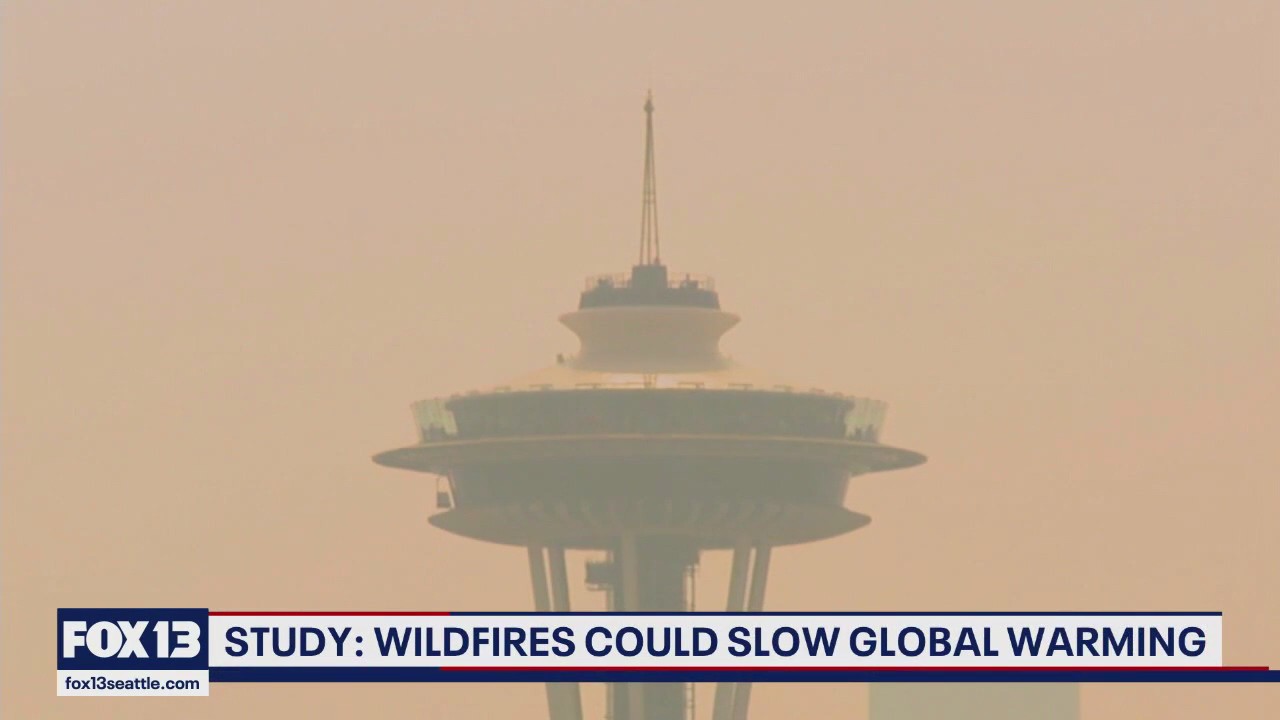 UW studies show wildfires could slow global warming