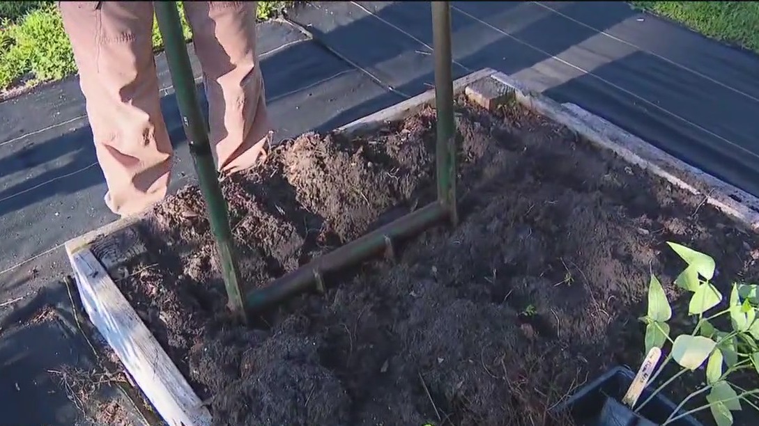 Tools for turning your garden