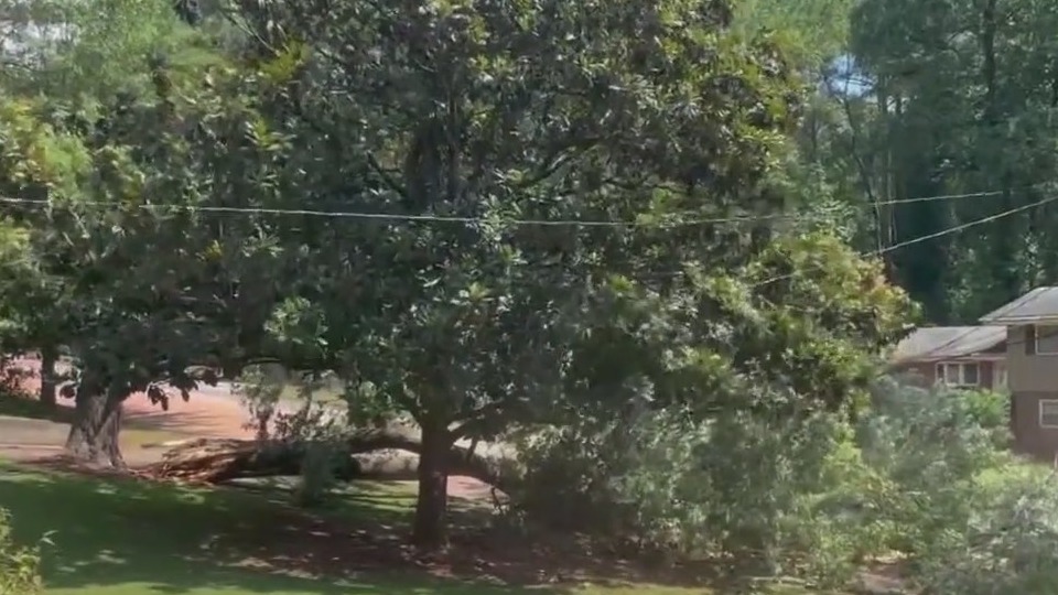 Tree falls on power lines in NE Atlanta