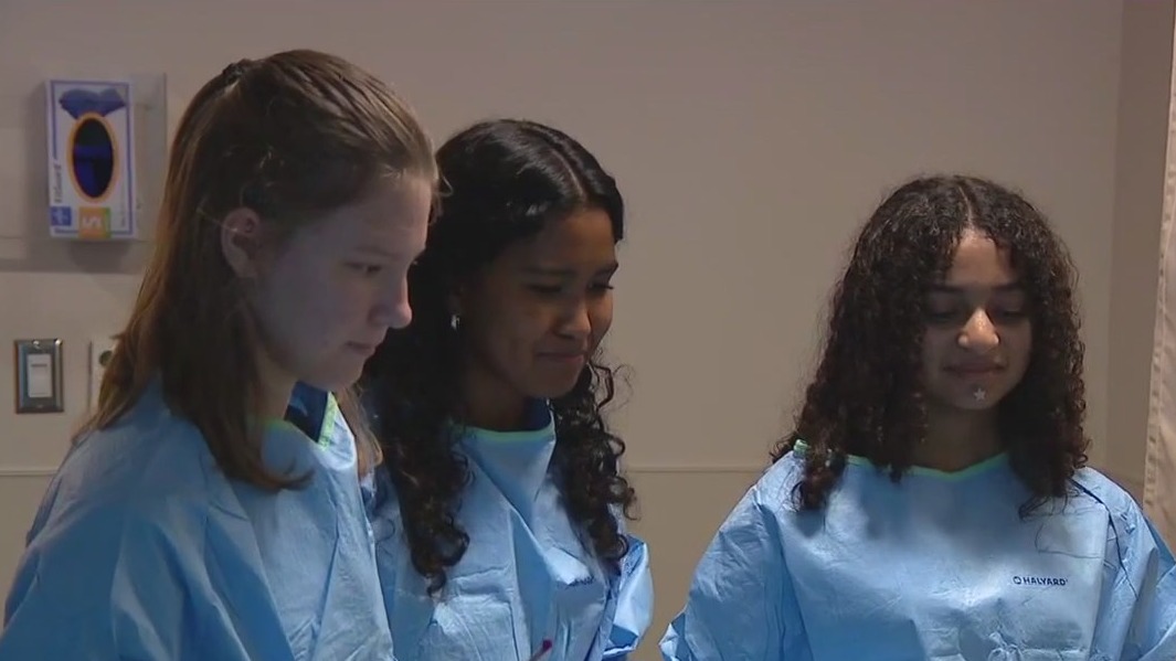 Healthcare summer camp
