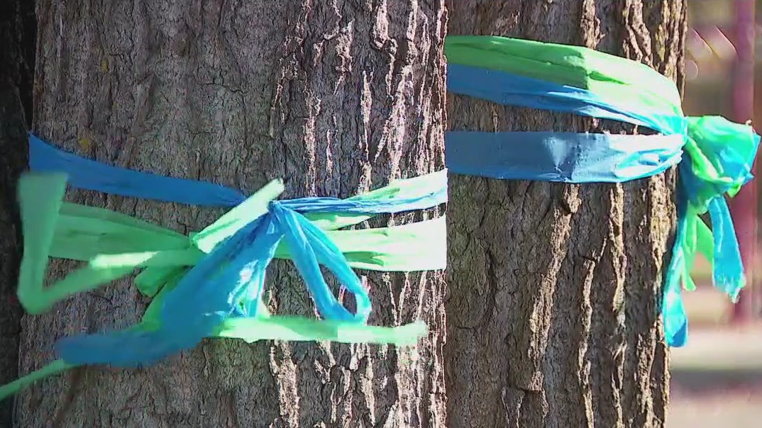 Annunciation ribbons to be repurposed into art