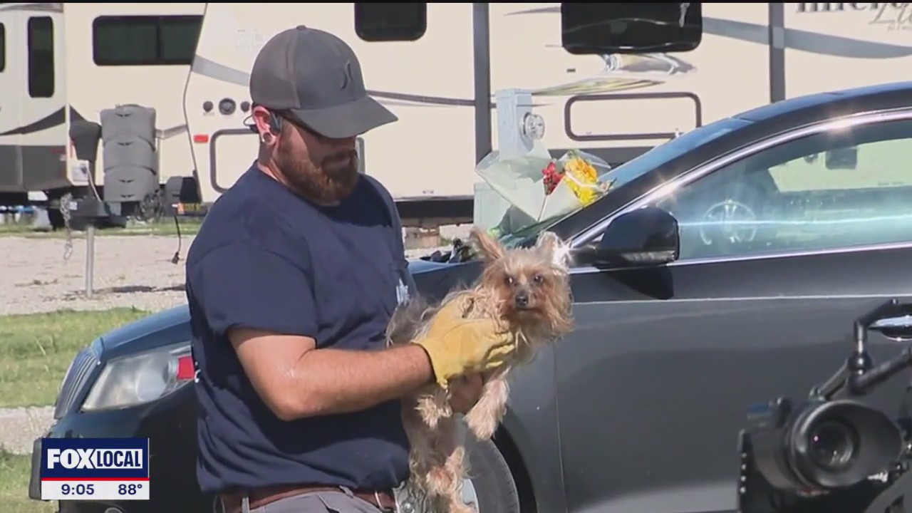 79 year old dead from severe winds, dog found in damage