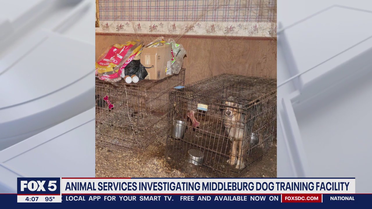 Dead dogs, 2 dozen other pets found in deplorable conditions at Loudoun County home