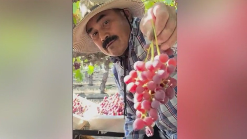 Telling stories of California's immigrants