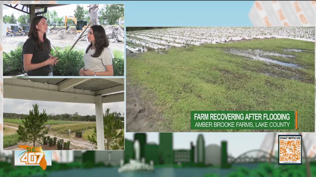 Eustis farm recovers after "unexpected" overnight storm