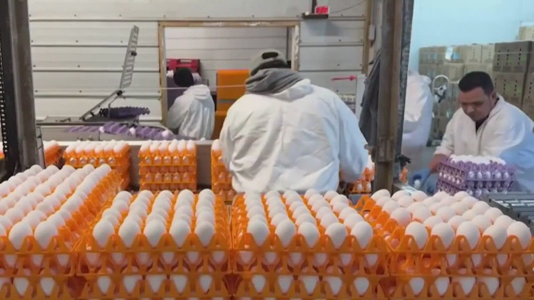 Trump administration sues California over cost of eggs