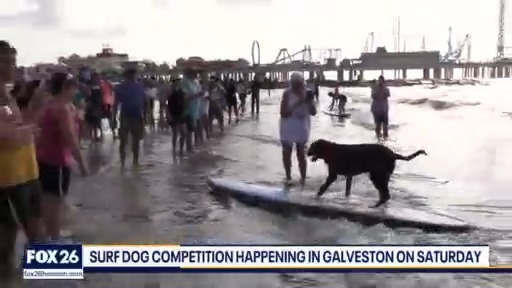 Furry Friends Friday & extended gear test | Forecasting with Friends