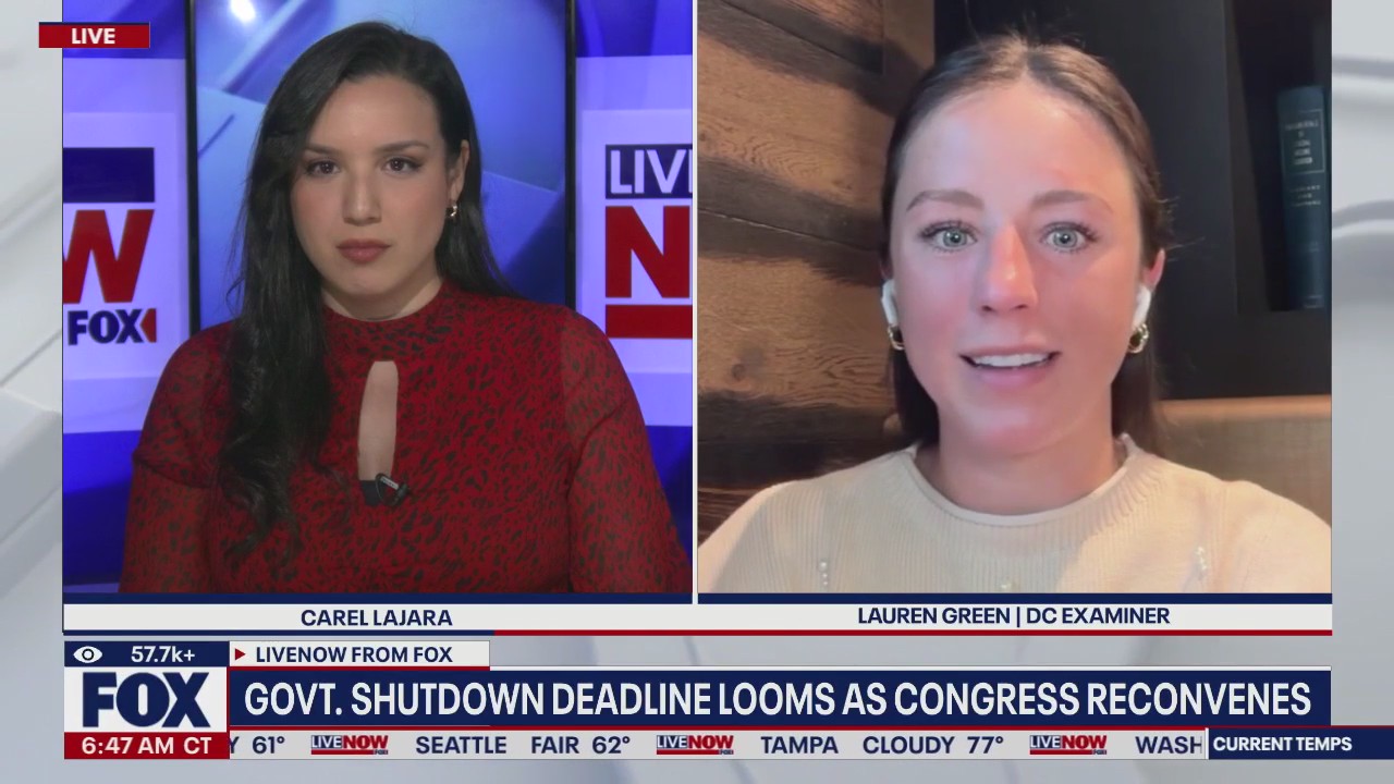 Wetgevers Push Release of all Epstein files