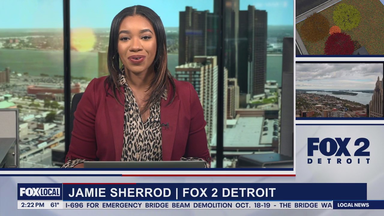 Local non profit helping Detroit women heal