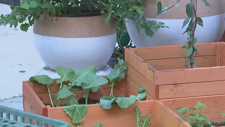 Fall gardening tips from The Great Outdoors