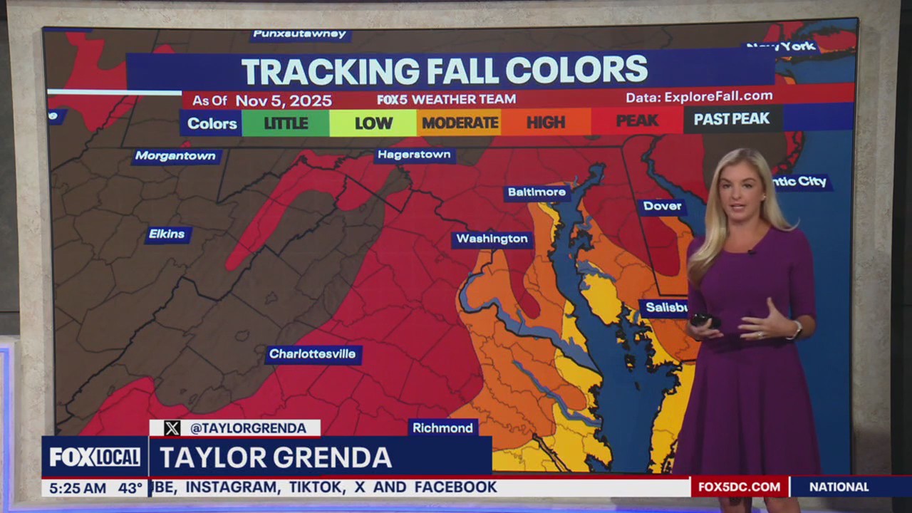 Peak fall foliage 2025 forecast in DC, MD & VA