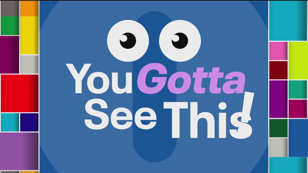 YOU GOTTA SEE THIS: Misspelled sign