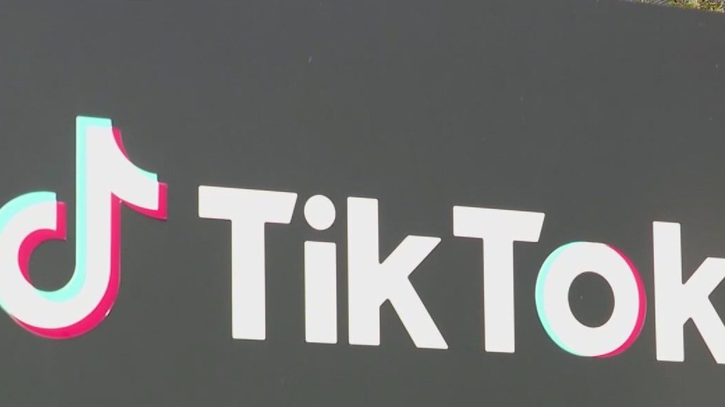 U.S. TikTok ban may be on hold
