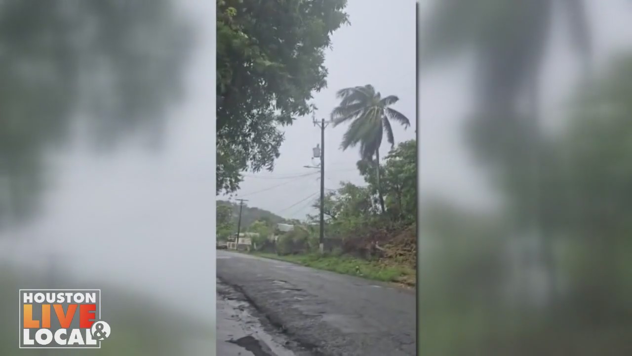 Hurricane Melissa, update on teen in immigration custody, student assault allegations, and more