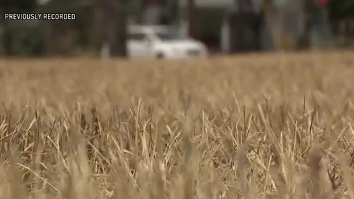 Texas water war | What's Your Point?