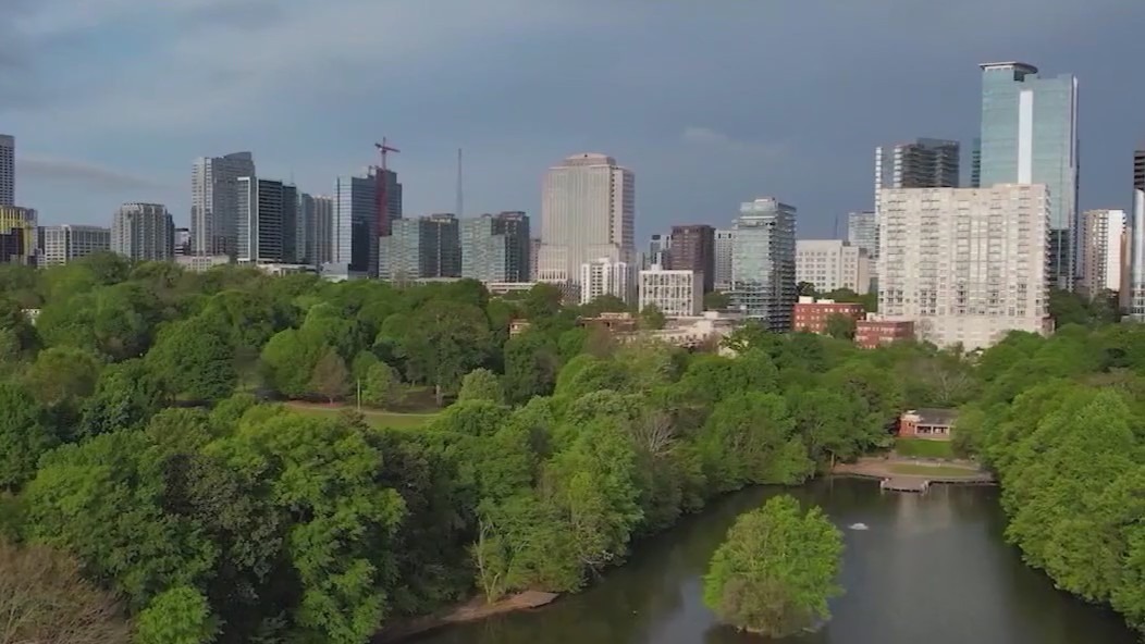 The beautiful benefits of trees