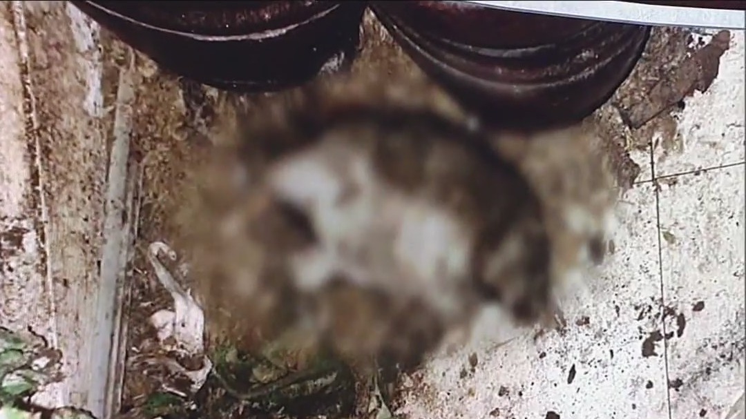 Griffin apartment condemned, residents must leave