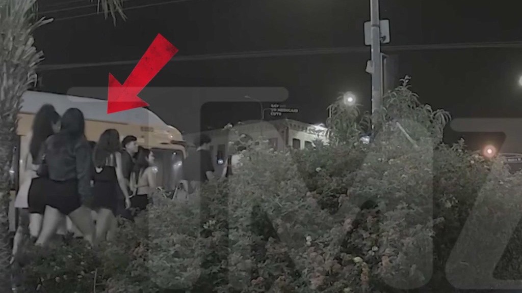 Avtomobili zapeljali v množice v Hollywoodu in v Teksasu