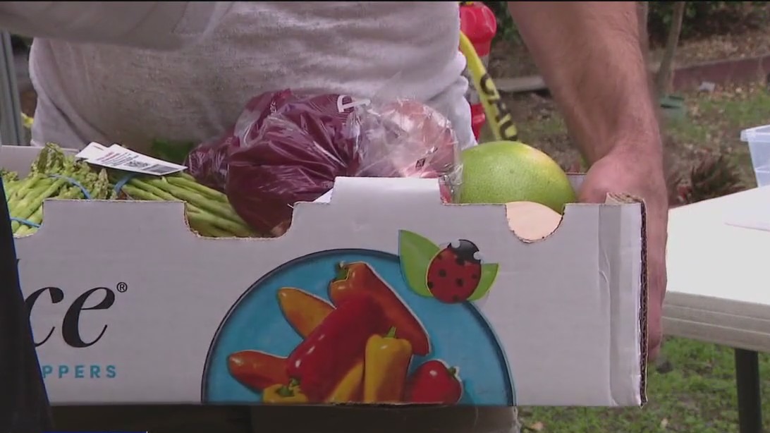 Little free libraries transformed into food pantries