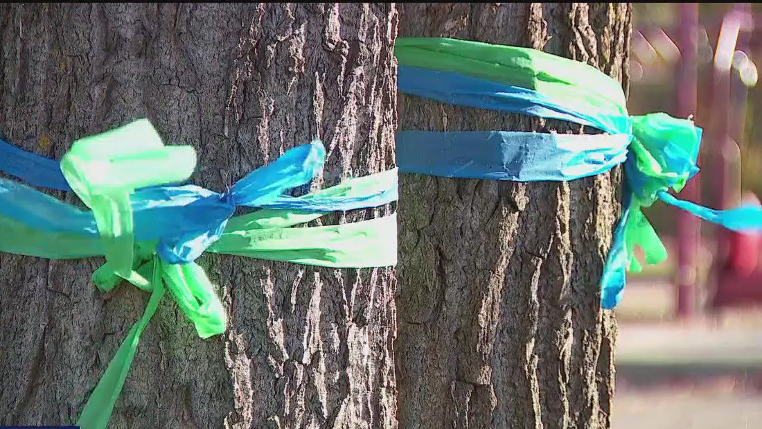 Annunciation ribbons being turned into permanent art piece