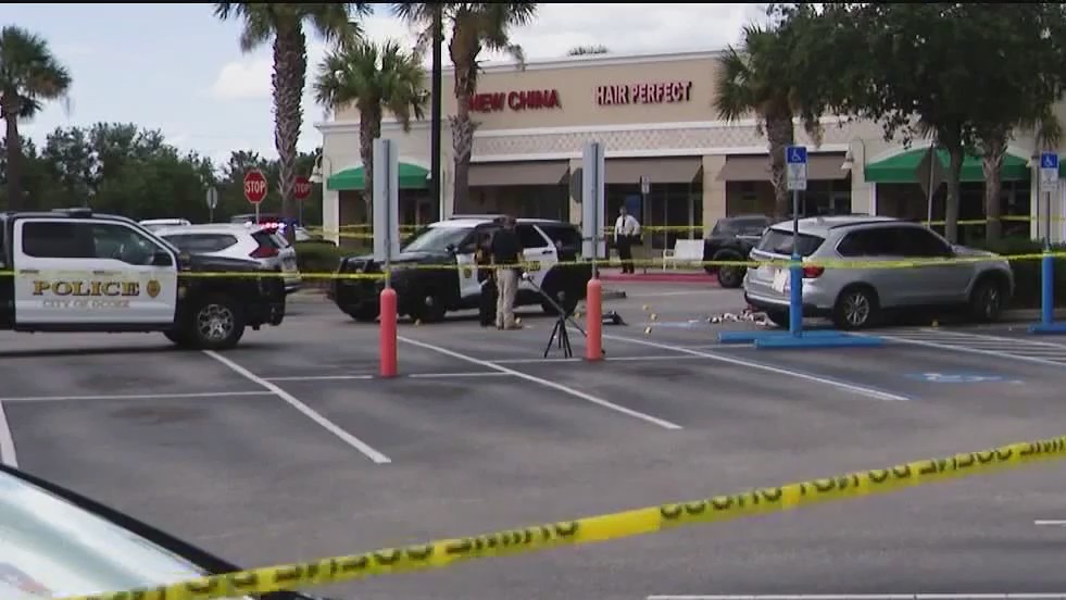 Florida driver shot by police after attempting to flee in stolen vehicle, police say
