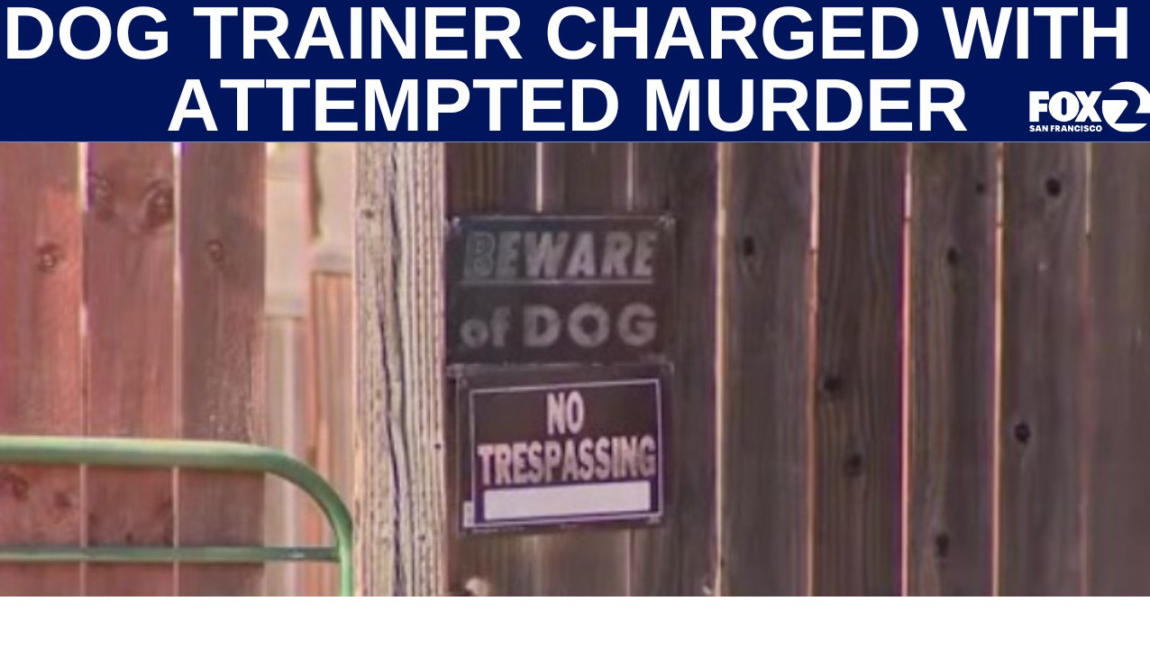Pleasanton dog trainer charged with attempted murder