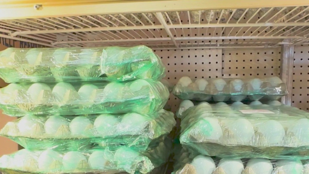 Eggflation shows no sign of cracking, partly due to bird flu