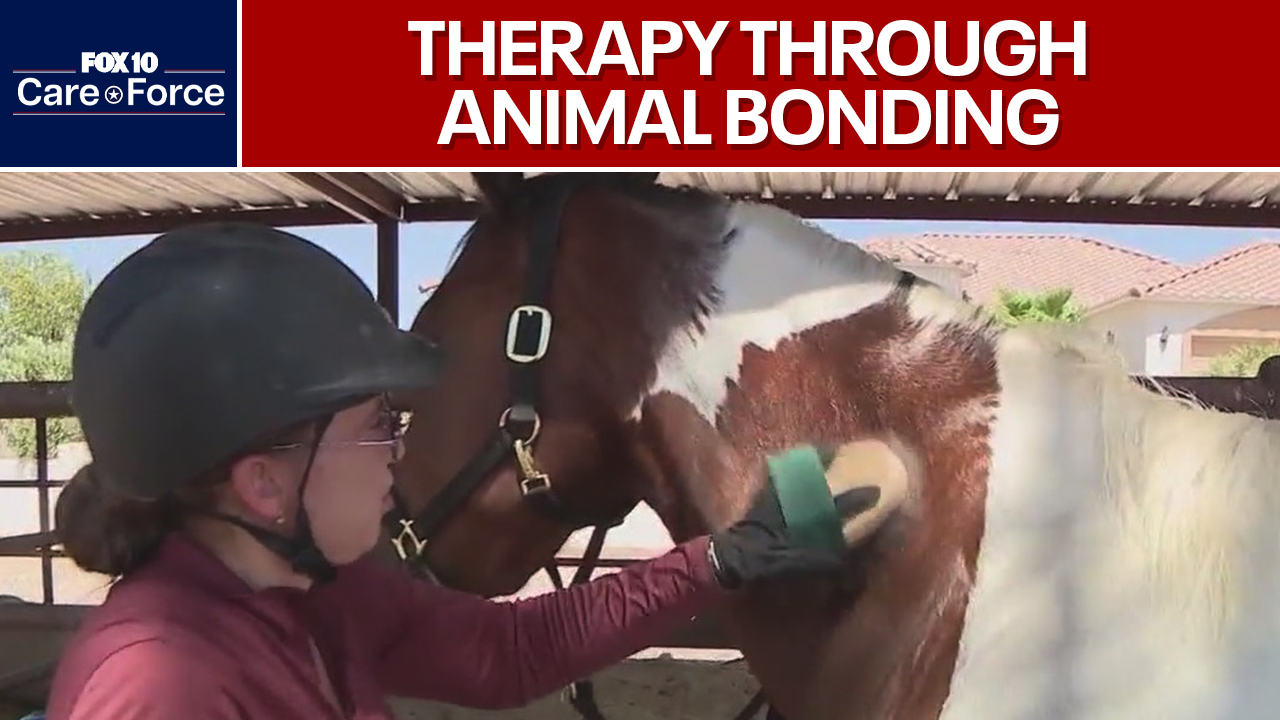 Legend Acres Dog and Horse Solutions | Care Force