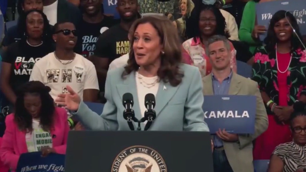 VP Kamala Harris running mate: Who will it be?