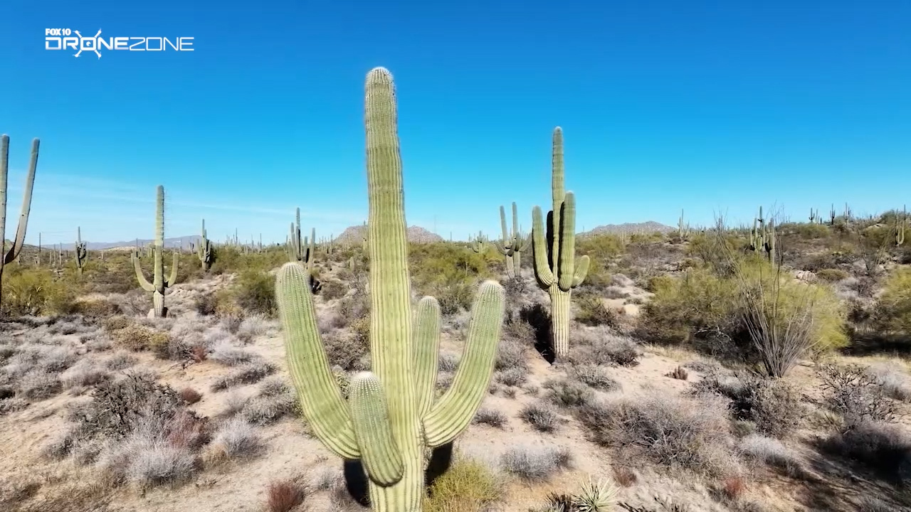 Raising Arizona | Drone Zone