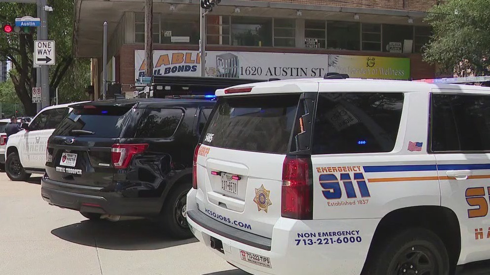 Convict pleads guilty in wire fraud linked to bail bonds