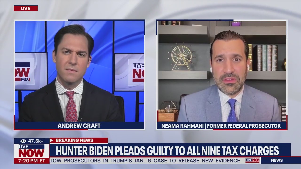 Hunter Biden explains guilty plea on tax charges