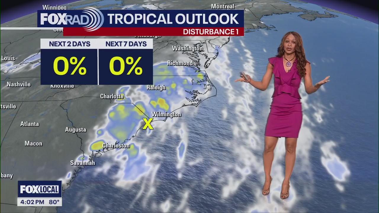 Tropical Update: Tropical activity quiet in Gulf