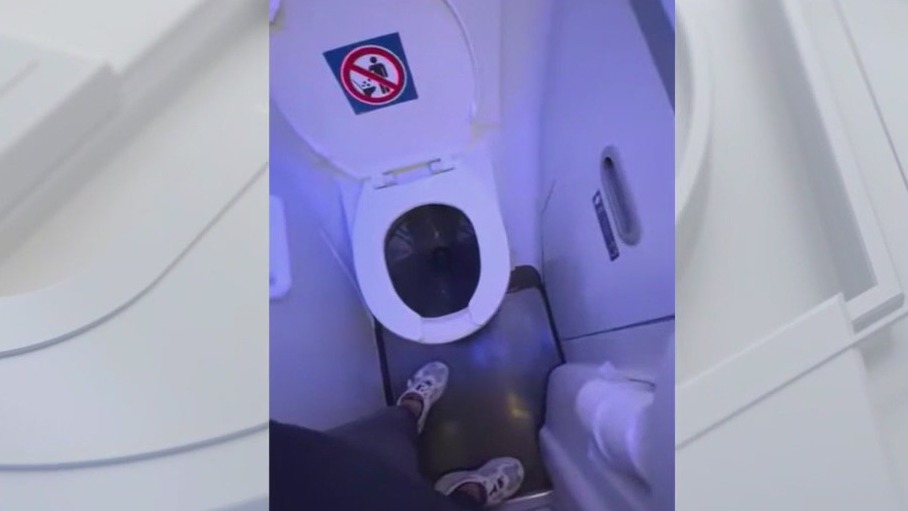 Airplane toilet shocks passenger