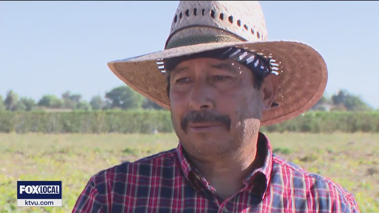 Farmworkers in Contra Costa County endure scorching temperatures