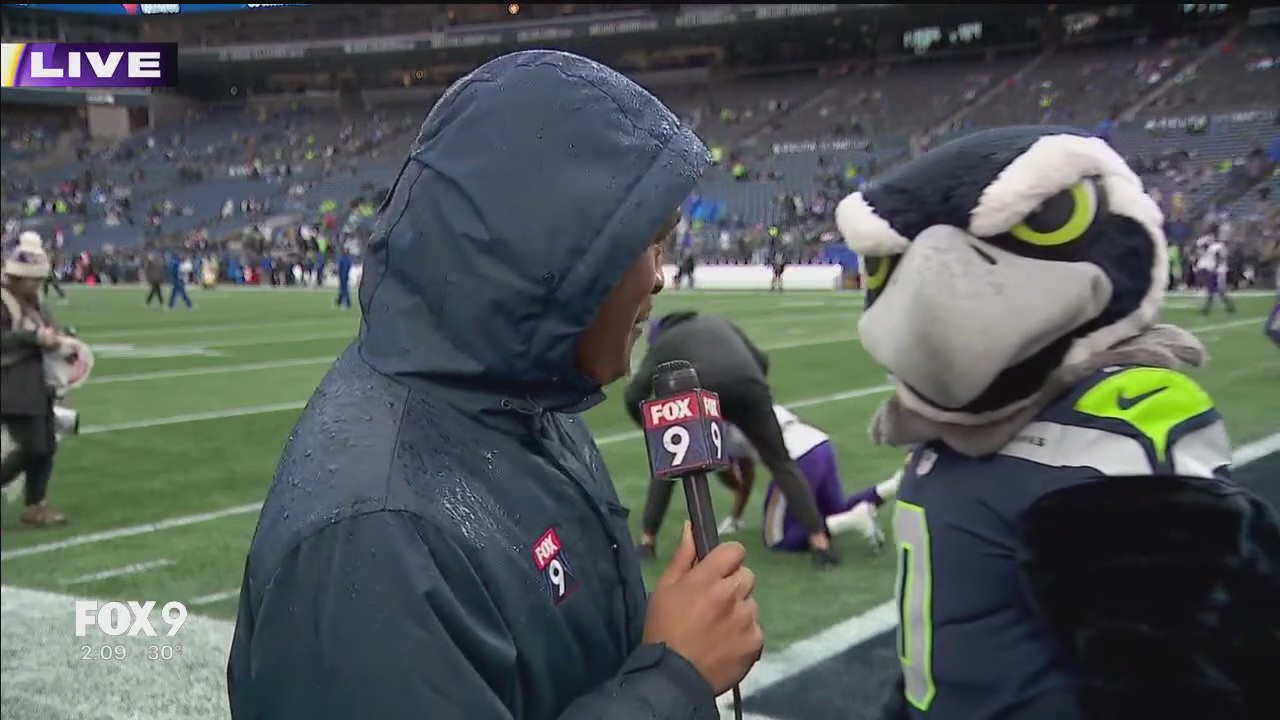 Seahawks mascot video bombs FOX 9 live shot