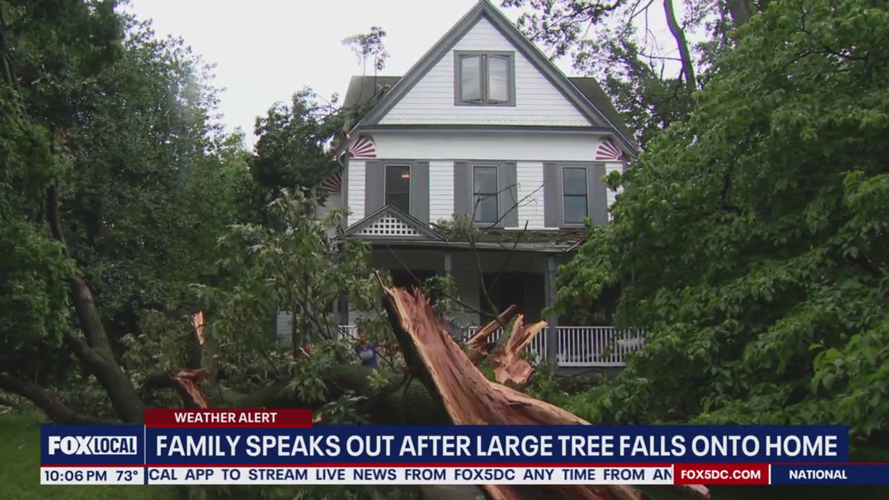 EXCLUSIVE: Tree crashes onto family home on Montgomery County